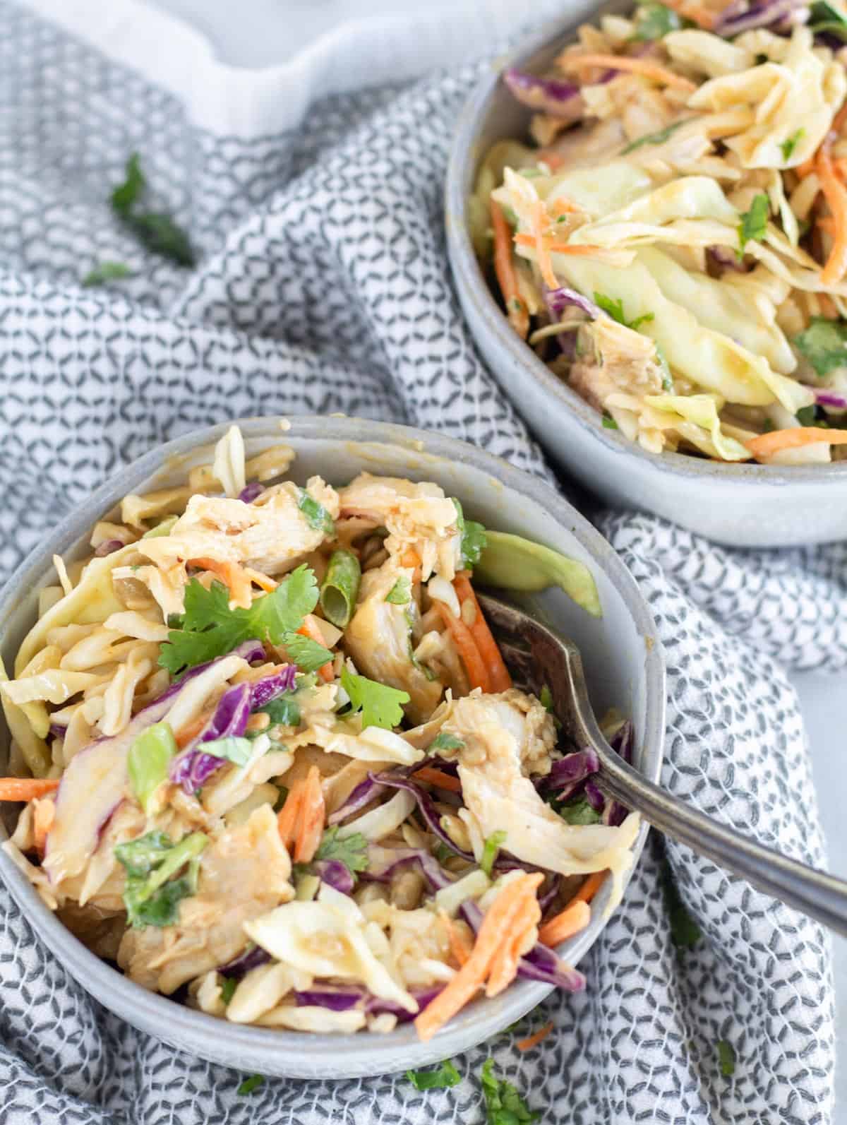 thai chicken salad in 2 bowls with a fork