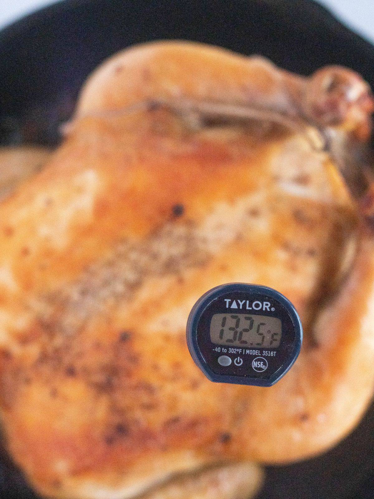 thermometer in chicken.