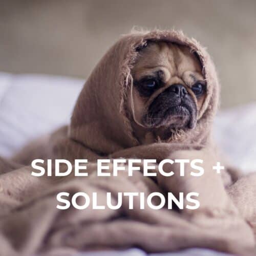 square image of dog in a blanket with the words "side effects + solutions"
